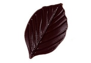 Blad in pure chocolade